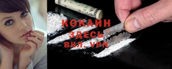 индика Абдулино