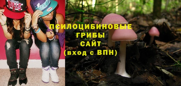 ECSTASY Алексеевка