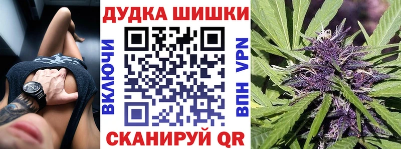 Каннабис OG Kush  Иланский 